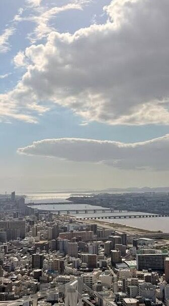 世界杯零点比赛-世界杯零点比赛，激情与期待的碰撞